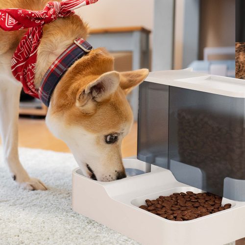 Drikkefontæne til katte